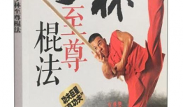 少林棍法教学视频,视频教学解析与实战技巧