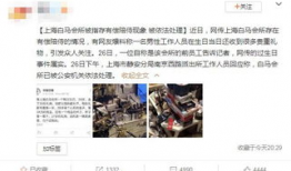 鸭王视频,揭秘鸭界传奇，带你领略鸭王风采