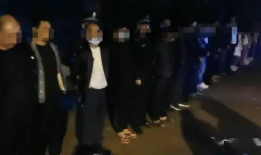 做爱全视频,做爱全视频深度解析